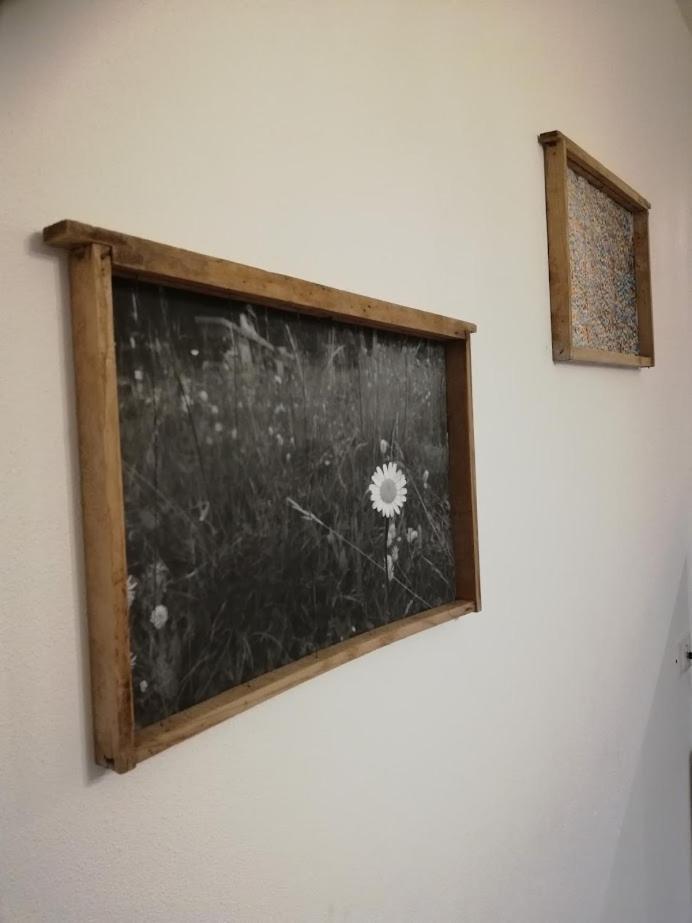 Appartamento La Regina Tret Luaran gambar